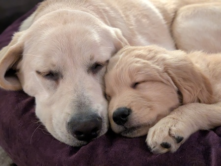 Entry image for Quinn and Reza. Clicking this image will show a larger photo