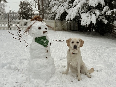 Entry image for Gweny. Clicking this image will show a larger photo