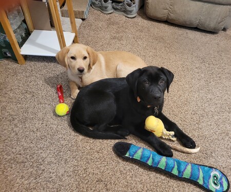 Entry image for Lyssie and Luciano. Clicking this image will show a larger photo