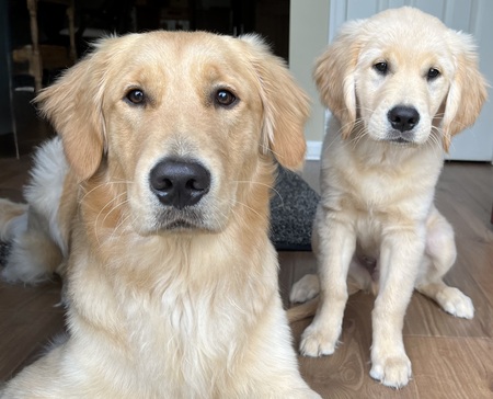Entry image for Jackson and Elmo. Clicking this image will show a larger photo