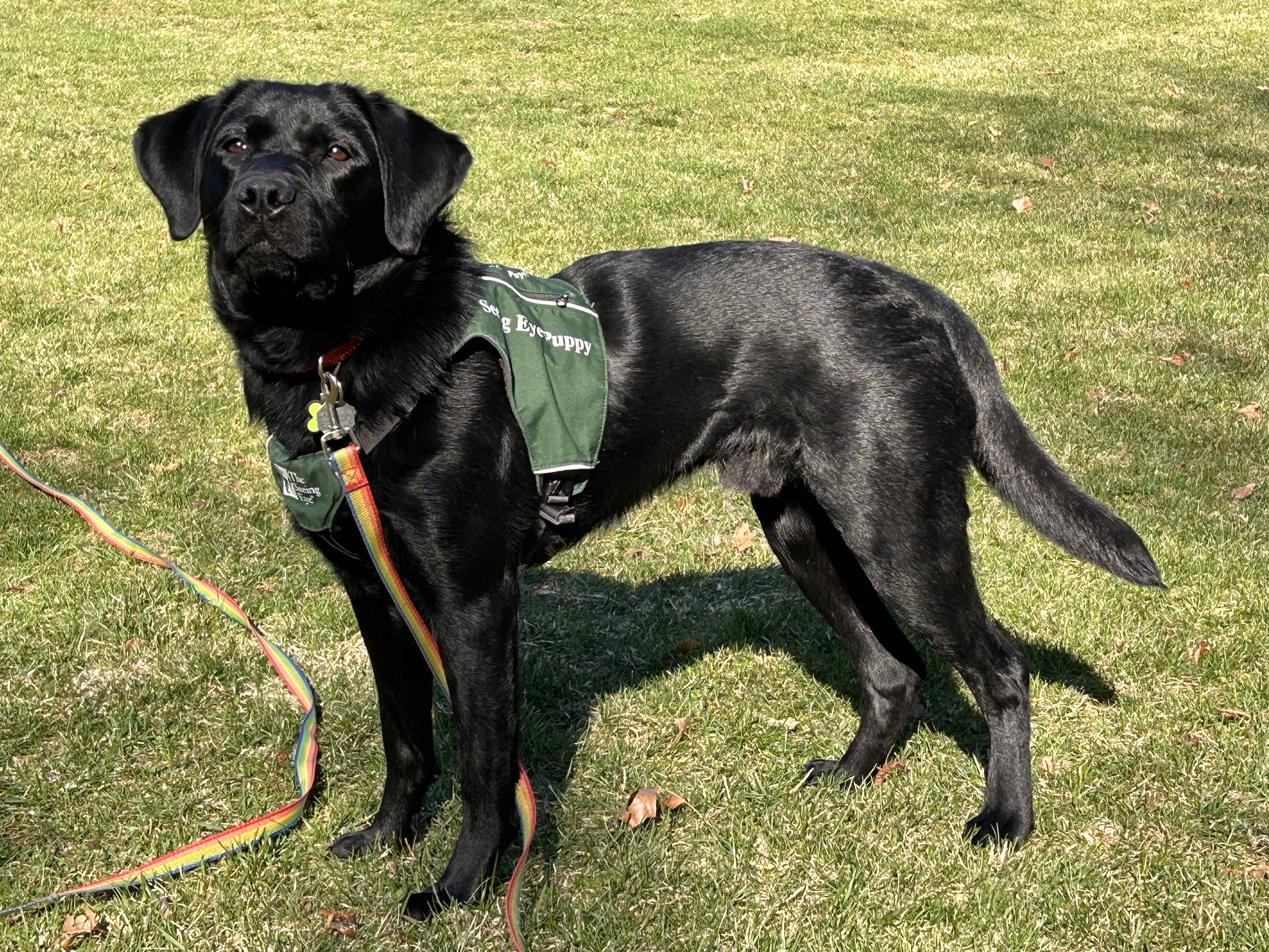 Entry image for Narfee. Clicking this image will show a larger photo