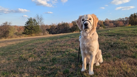 Entry image for Theo . Clicking this image will show a larger photo