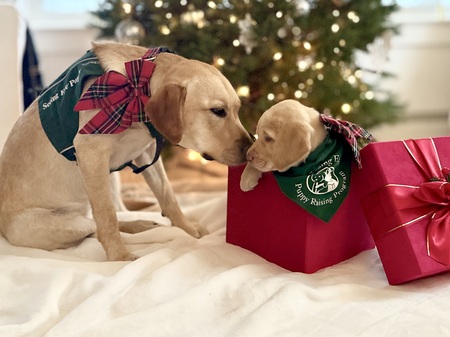 Entry image for Heather and Dottie. Clicking this image will show a larger photo