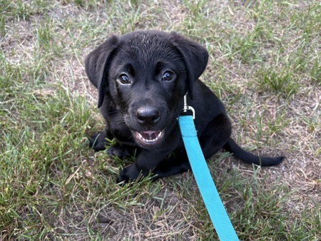 Entry image for Max . Clicking this image will show a larger photo