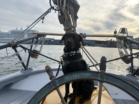 Entry image for Nellie. Clicking this image will show a larger photo