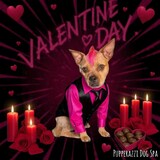 Entry image for Dextor