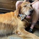 Entry image for Larry