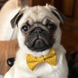 Entry image for Monchi 