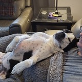 Entry image for Asher