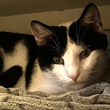 Entry image for Bill