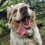 Entry image for Finneas Rumham Laurick