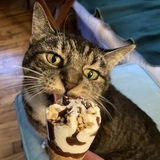 Entry image for Mrs. O'Hara