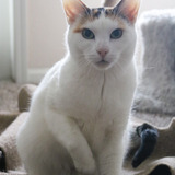 Entry image for Minnie