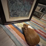 Entry image for Doof