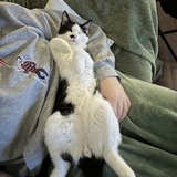 Entry image for Burger