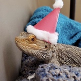 Entry image for Asher