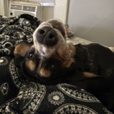 Entry image for Betty