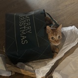 Entry image for Bennett