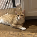 Entry image for Baxter