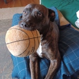 Entry image for Sister