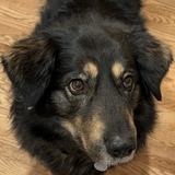 Entry image for Sandi