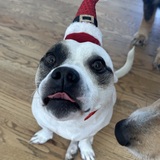 Entry image for Kodak