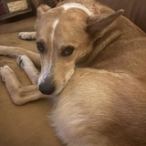 Entry image for Levi