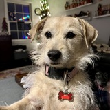 Entry image for Macy