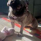 Entry image for Luna 