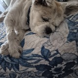 Entry image for Rain'