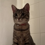 Entry image for Eloise 