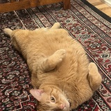 Entry image for Senby 