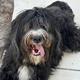 Entry image for Edgar