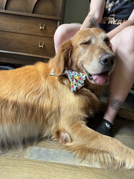 Entry image for Larry. Clicking this image will show a larger photo