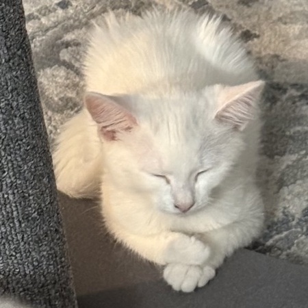 Entry image for Bob. Clicking this image will show a larger photo