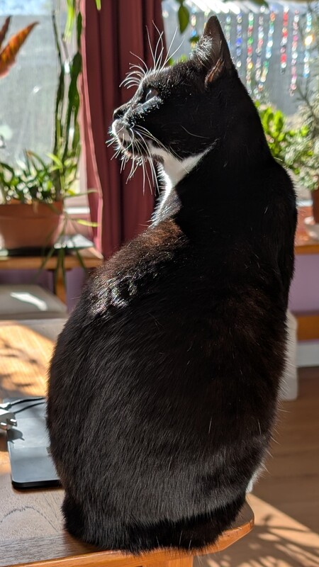 Entry image for Comic Sans. Clicking this image will show a larger photo