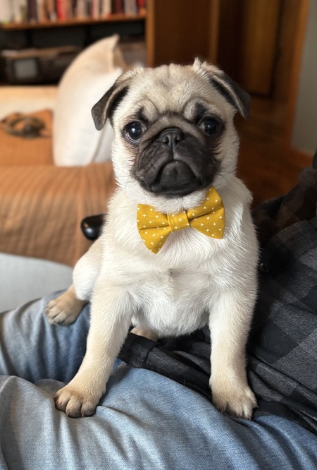 Entry image for Monchi . Clicking this image will show a larger photo