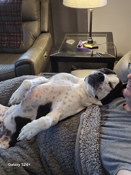 Entry image for Asher. Clicking this image will show a larger photo