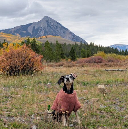 Entry image for Chara. Clicking this image will show a larger photo