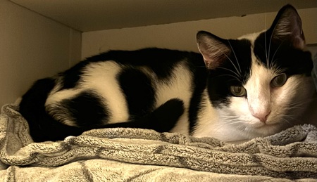 Entry image for Bill. Clicking this image will show a larger photo