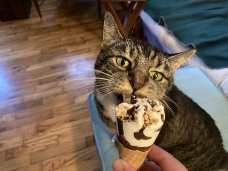 Entry image for Mrs. O'Hara. Clicking this image will show a larger photo