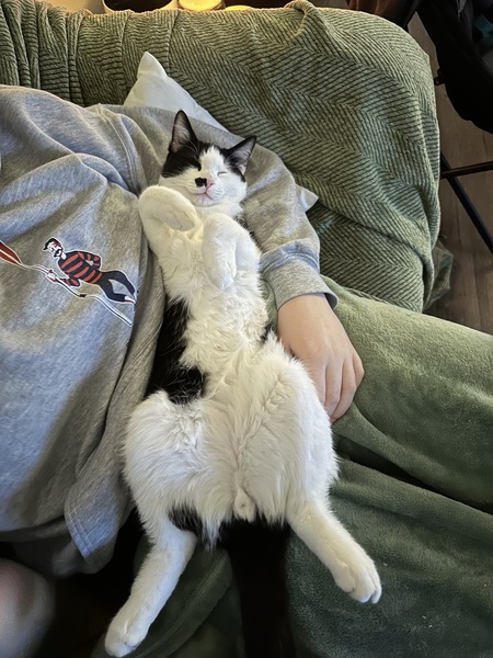 Entry image for Burger. Clicking this image will show a larger photo