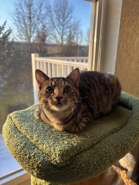 Entry image for Bug. Clicking this image will show a larger photo