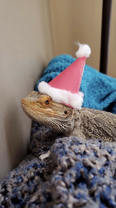 Entry image for Asher. Clicking this image will show a larger photo