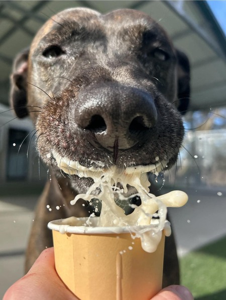 Entry image for Sister. Clicking this image will show a larger photo