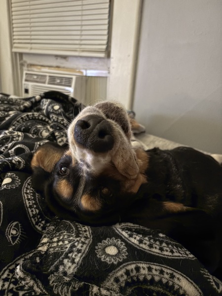 Entry image for Betty. Clicking this image will show a larger photo