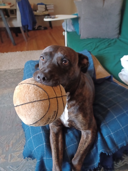 Entry image for Sister. Clicking this image will show a larger photo