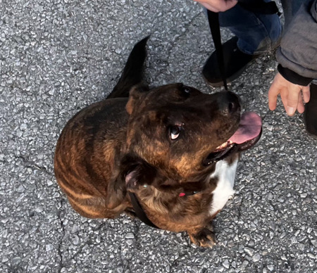 Entry image for Cardi B. Clicking this image will show a larger photo