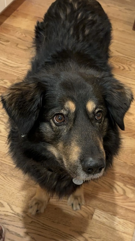 Entry image for Sandi. Clicking this image will show a larger photo