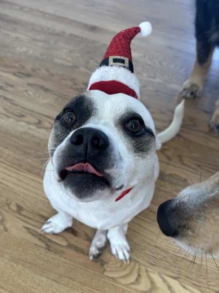 Entry image for Kodak. Clicking this image will show a larger photo